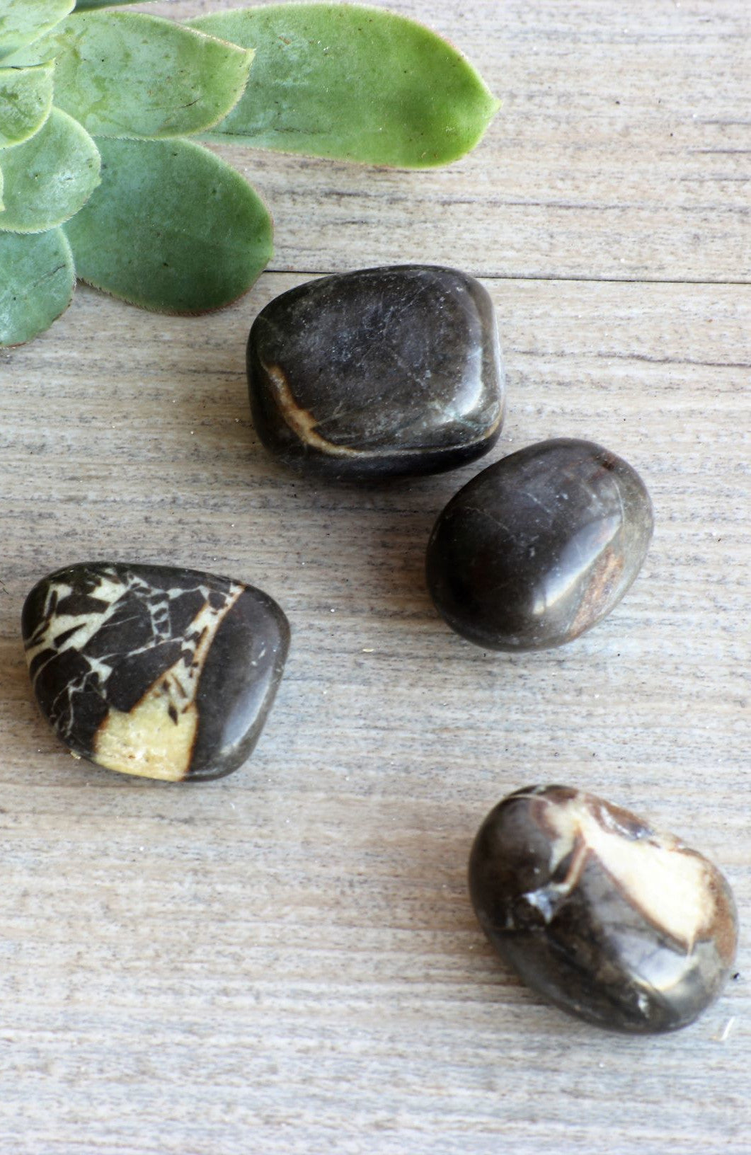 Septarian Stone  (aka Dragon Stone) Tumbled Stone